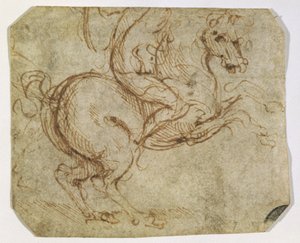 Ló és Cavalier (toll és tinta papíron) alkotó: Leonardo da Vinci