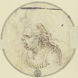Karikatúra egy nyitott szájú nőről, mellkép, balra néző profilból alkotó: Leonardo da Vinci