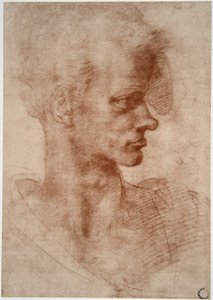 Leonardo da Vinci (Leonardo da Vinci) (1452 - 1519): Egy fiatal férfi karikatúra portréja (Imagine) alkotó: Leonardo da Vinci