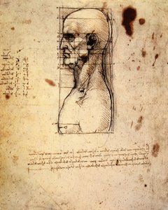 Férfi fej profilban, arányokkal alkotó: Leonardo da Vinci