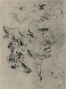 Egy férfi profilja jobbra, c1480 1945 alkotó: Leonardo da Vinci