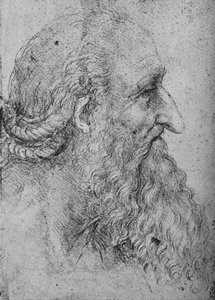 Egy öreg, szakállas férfi profilja jobbra, c1480 1945 alkotó: Leonardo da Vinci