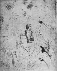Egy öreg ember profilja, növények, geometriai ábrák stb., c1480 1945 alkotó: Leonardo da Vinci