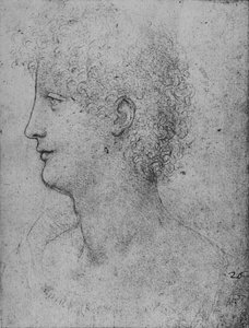 Egy göndörfejű fiatal profilja balra, c1480 1945 alkotó: Leonardo da Vinci