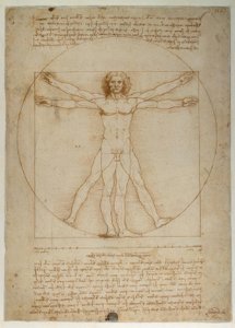 Az emberi alak aránysémája Vitruvius szerint alkotó: Leonardo da Vinci