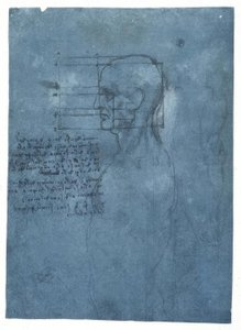 Egy férfi fej arányvizsgálata profilban alkotó: Leonardo da Vinci