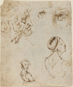 Tanulmányi lap [recto] alkotó: Leonardo da Vinci