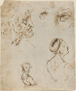 Tanulmányok lapja [recto] alkotó: Leonardo da Vinci