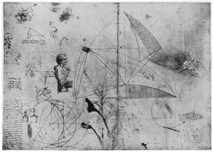 Tanulmányi lap, 15. század vége vagy 16. század eleje 1954. alkotó: Leonardo da Vinci