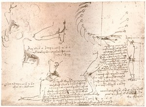 Az emberi alak arányainak elméletét illusztráló vázlatok, c1472-c1519 1883 alkotó: Leonardo da Vinci