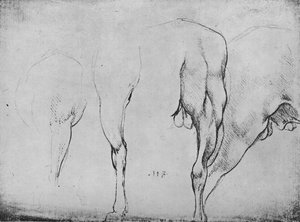 Studies of Horses Legs, c1480, 1945 alkotó: Leonardo da Vinci