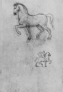 Tanulmányok egy lóról és egy lóról és egy lovasról, c1480 1945 alkotó: Leonardo da Vinci