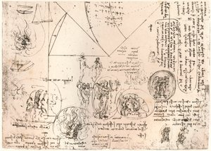 Tanulmányok a jelképekről, c1472-c1519 1883 alkotó: Leonardo da Vinci