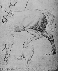 Tanulmányok a ló hátsó negyedeiről és hátsó lábairól, c1480 1945 alkotó: Leonardo da Vinci