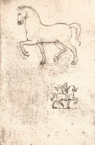 Tanulmány a Sforza-emlékműhöz, c1482-c1499 1883 alkotó: Leonardo da Vinci
