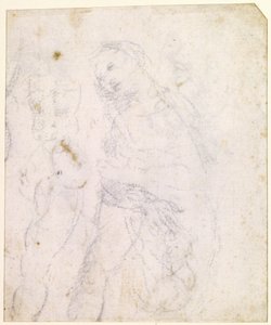Egy Madonna-ábrázolás tanulmánya [hátoldal] alkotó: Leonardo da Vinci