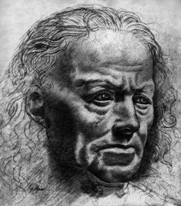 A kifejezés tanulmányozása alkotó: Leonardo da Vinci