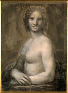 A női akt tanulmányozása valószínűleg a Mona Lisa mellszobra, amely Mona Lisát (vagy Monna Lisát) feltételez. Rajz barna papírra fekete kővel Leonard de Vinci (Leonardo da Vinci) iskolájából (1452-1519) Dim. 0,72 X 0,54 m. Chantilly, Conde Múzeum