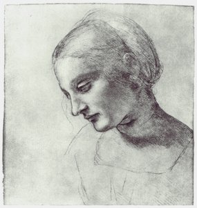 Egy Madonna feje, c1484-1486 alkotó: Leonardo da Vinci