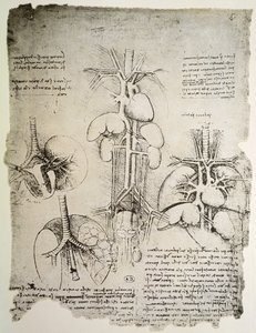 A szív és a keringés, a Windsor-könyv fakszimile változata (toll és tinta, papír) alkotó: Leonardo da Vinci