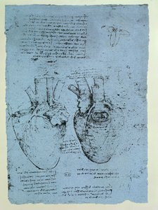 A szív, a windsori könyv fakszimile változata (toll és tinta, papír) alkotó: Leonardo da Vinci