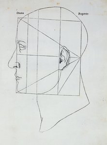 Az emberi fej, Luca Pacioli (1445-1517) „Divina Proportione” című művének illusztrációja, 1509 alkotó: Leonardo da Vinci