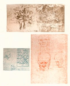 Három rajz, c1472-c1519 1883 alkotó: Leonardo da Vinci