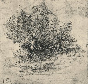 Két fa a patak partján, c1480 1945 alkotó: Leonardo da Vinci