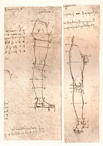 Két rajz, amely az emberi alak arányainak elméletét illusztrálja, c1472-c1519 1883 alkotó: Leonardo da Vinci