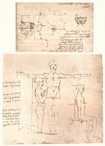 Két rajz, amely az emberi alak arányainak elméletét illusztrálja, c1472-c1519 1883. alkotó: Leonardo da Vinci