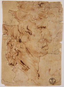 Ismeretlen kép alkotó: Leonardo da Vinci