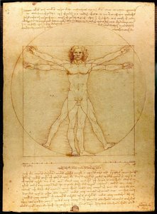 Vitruviuszi ember alkotó: Leonardo da Vinci