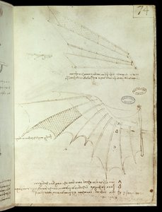 Szárny. Repülőgép rajz. Leonard De Vinci kézirata (Leonardo da Vinci alkotó: Leonardo da Vinci