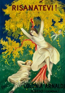 Colonia Arnaldi reklámplakátja Uscioban (Genova) alkotó: Leonetto Cappiello
