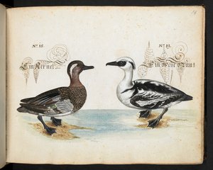 Adja hozzá az MS 6485-öt