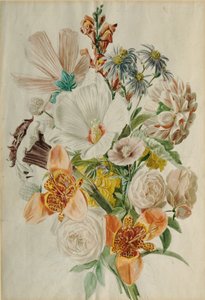 Csokor hibiszkusz és liliom