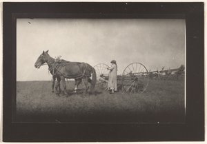 [Farm Scene, Massachusetts] alkotó: Lewis W. Hine