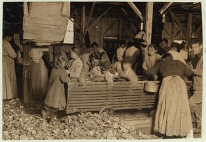 Bill May, 5 éves, aki napi 15 centet keres, a Barataria Canning Company fészerében, Biloxiban, Mississippi államban, 1911 alkotó: Lewis Wickes Hine