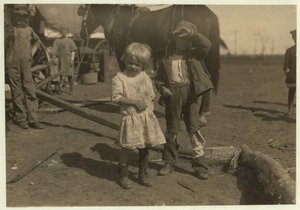 4 éves gyapotszedő, aki rendszeresen szed 15 fontot naponta, és 7 éves, aki 50 fontot szed le. Farmról farmra költöznek, és emigráns kocsikban élnek, McKinney, Texas, 1913 alkotó: Lewis Wickes Hine