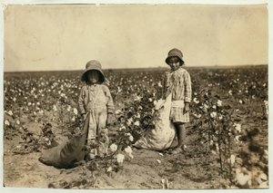 Jewel és Harold Walker, 6 és 5 évesek, napi 20-25 kiló gyapotot szednek Geronimo-ban, Comanche megyében Oklahoma, 1916 alkotó: Lewis Wickes Hine
