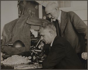 alkotó: Lewis Wickes Hine