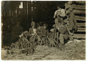 Fiai J.H. Burch 12, 14 és 17 évesen dohányzott iskolai órákban Warren megyében, Rockfieldben, Kentucky államban, 1916 alkotó: Lewis Wickes Hine