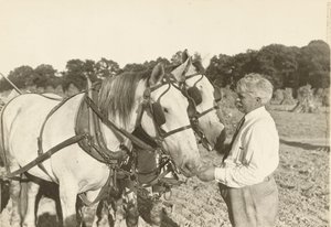 Cím nélkül, kb. 1935. alkotó: Lewis Wickes Hine
