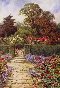 The Rose Walk (színes litó)