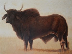Brahmin Bull alkotó: Lincoln Seligman