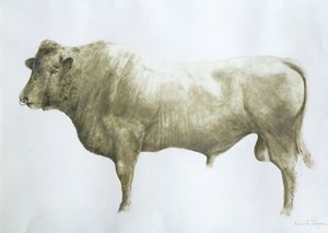 Islay Bull, 2004 (akril, vászon)