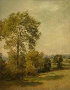 Fa a tájban, 1850 körül alkotó: Lionel Constable