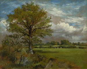 Fa a réten, 1850 körül