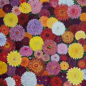  alkotó: Liz Wright