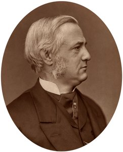 Frederick Max Muller, az Oxfordi Egyetem összehasonlító filológia professzora, 1878. alkotó: Lock and Whitfield
